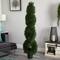 6ft. Potted Double Pond Cypress Spiral Topiary Tree